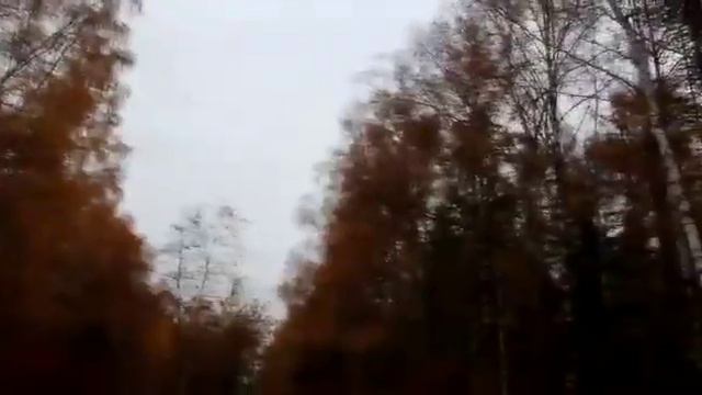 Песня под гитару!!! смотреть онлайн