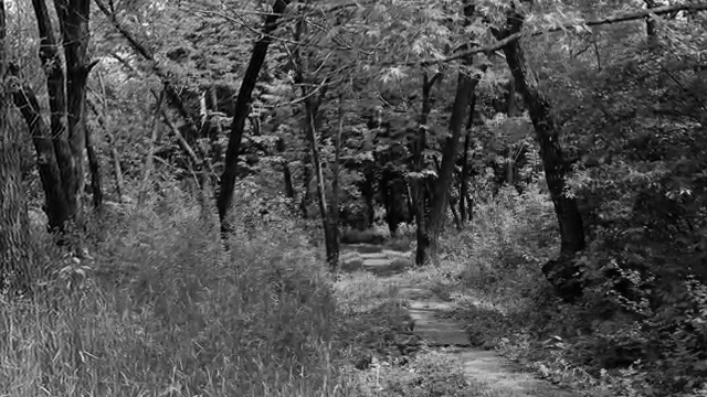 10 СПОСОБОВ ПОЧУВСТВОВАТЬ ПРИЗРАКА