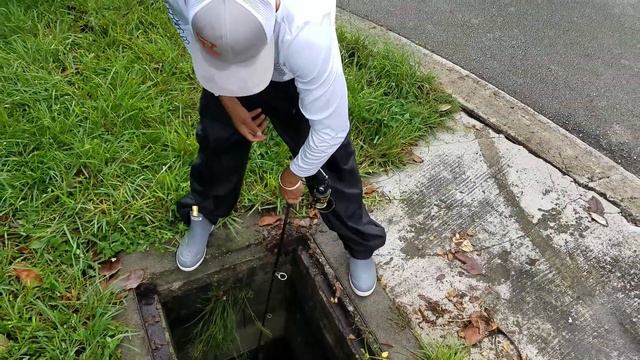 STOP INVASIVE FISH in UNDERGROUND SEWER TUNNELS from TAKING OVER! смотреть онлайн