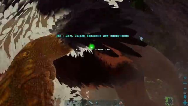 Грифон Создающий ВСЕ Яйца! - ARK Reclamation Прохождение #4 смотреть онлайн