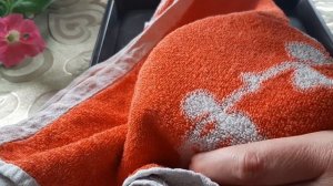 Посев лаванды без стратификации. От посева до всходов 4 дня!