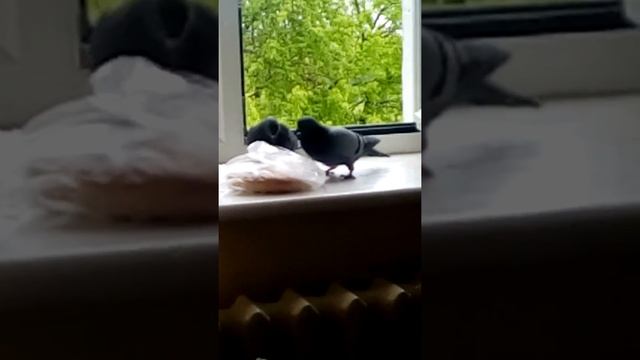 В больнице Сатка смотреть онлайн