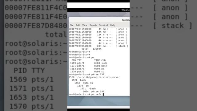 Solaris Operating System Process ‘ps’ and Process Tree ‘ptree‘ Commands смотреть онлайн