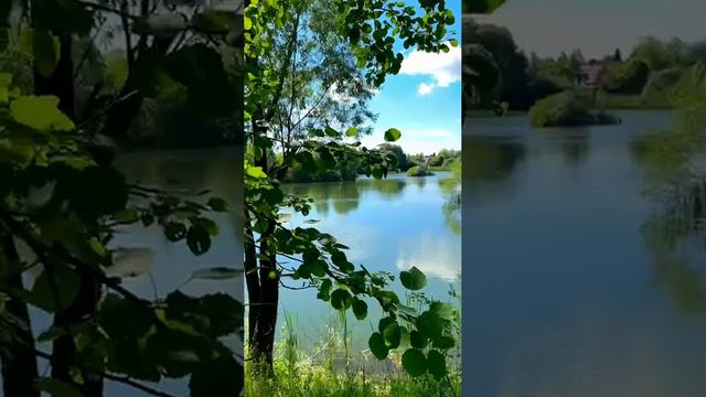 МАТУШКА ЗЕМЛЯ! смотреть онлайн