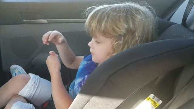 Сорока белобока смотреть онлайн