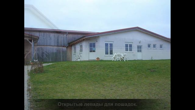 Конюшня возле Hemmingena1.wmv смотреть онлайн