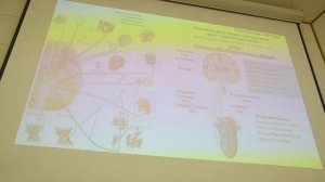 Лекция 1, 01.02.2024, Гайдуков А.Е. Анатомия и физиология человека