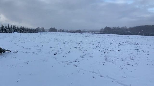 Посадка деревьев смотреть онлайн