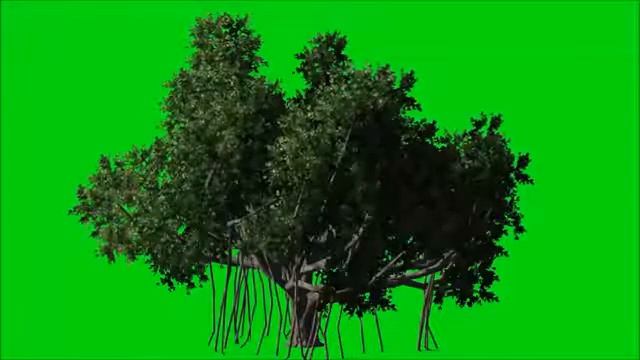 Футаж(20) смотреть онлайн