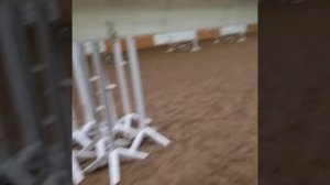 Любимое занятие. Кони#пони#конкур(3)