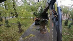 Экскаватор выручает.Сажаем ели с помощью экскаватора.