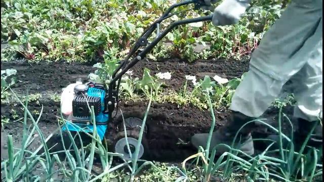 Мотокультиватор Sadko T 240 в реальных условиях смотреть онлайн