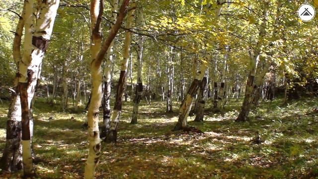 Тофалария - Потрясающая дикая тайга - В путь-палатку / Часть 2 / Выпуск 25 смотреть онлайн