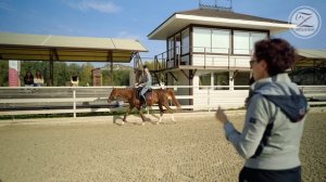 Мастер-класс с Ольгой Зибревой по выездке. 1 день 1 всадник Ксенья на лошади по кличке «Эфор»