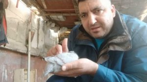 почтовые спортивные голуби - рутина в голубятне