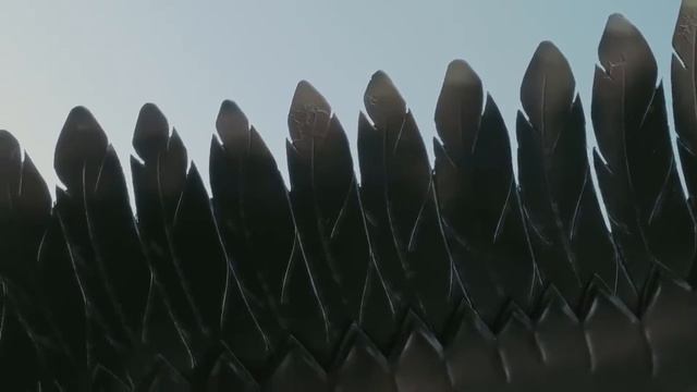 Краснова А.С.  _Олень и глухарь_.