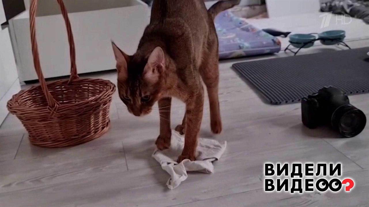 Борец за чистоту. Видели видео? Фрагмент выпуска от 02.05.2021 смотреть онлайн