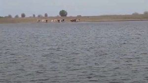 рыбалка на реке кигач.