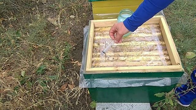 Обработка Пчёл Бипином-Т !!! Самая Качественная Обработка !!! смотреть онлайн