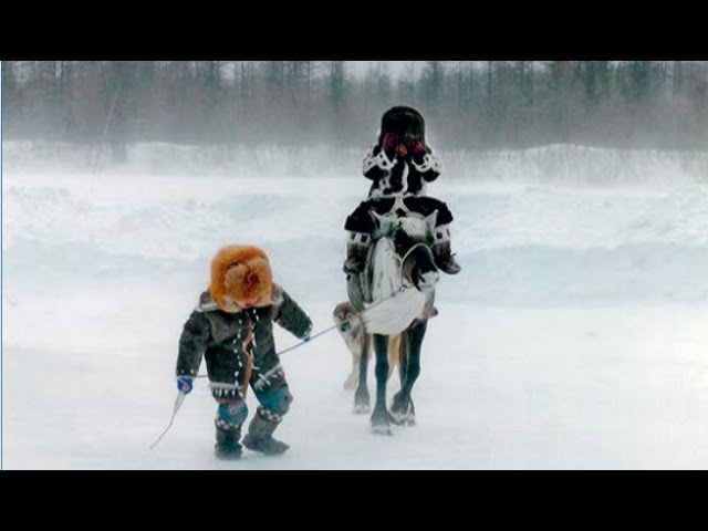 Арктической зоне России нужен свой орган управления смотреть онлайн