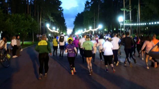 Сумеречные огни 2022