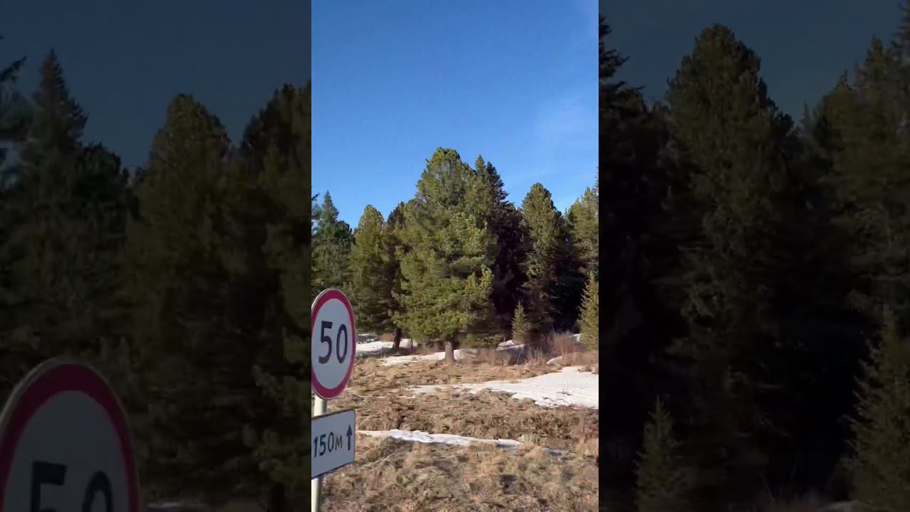 Кедрач / Семинский перевал / Алтай / Altai смотреть онлайн