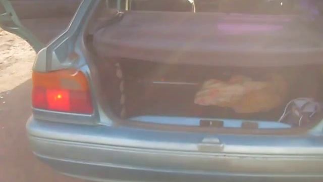 Ford escort V 1990 г.в. смотреть онлайн