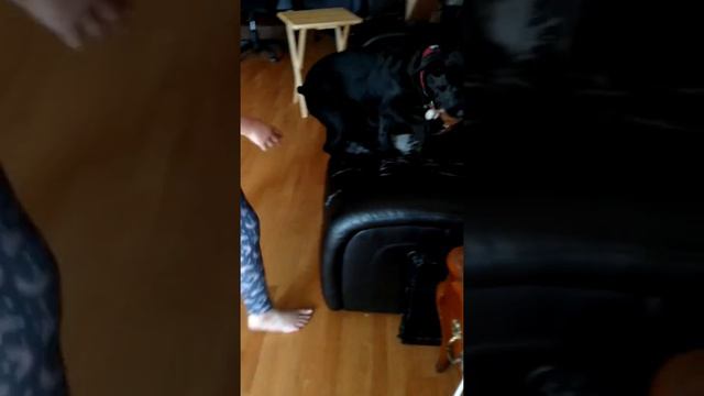 Peter Barker and Ivy demonstrate safe playtime. смотреть онлайн