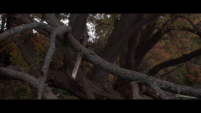 Caught Up In The Country - Rodney Atkins Music Video (Cowboy De Haan Cover) смотреть онлайн
