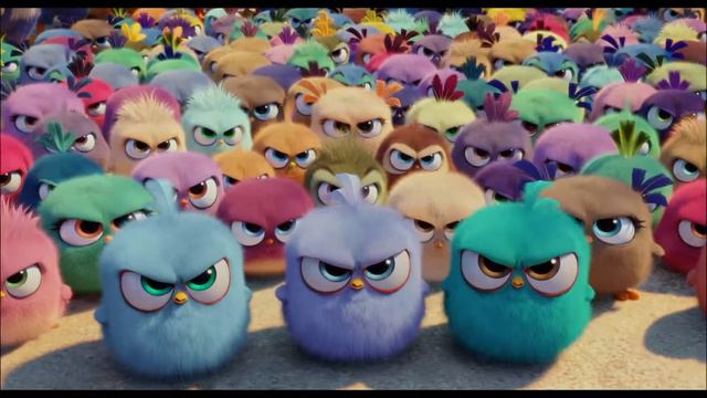 Angry Birds -elokuva I 15” Flock -klippi I Elokuvateattereissa 13.5.2016 смотреть онлайн