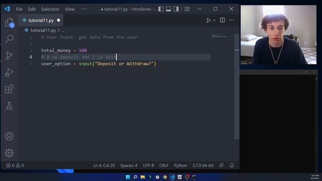 User Input: Python Basics (11) смотреть онлайн