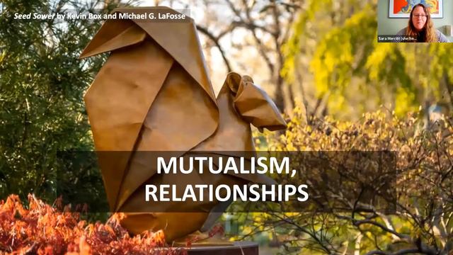 Patterns Unfolding at Reiman Gardens - CELT Webinar 2021 смотреть онлайн