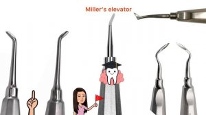 Элеваторы стоматологические. Типы, принципы работы, правила.