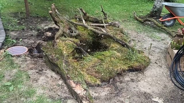 Пруд с хищными растениями на участке смотреть онлайн