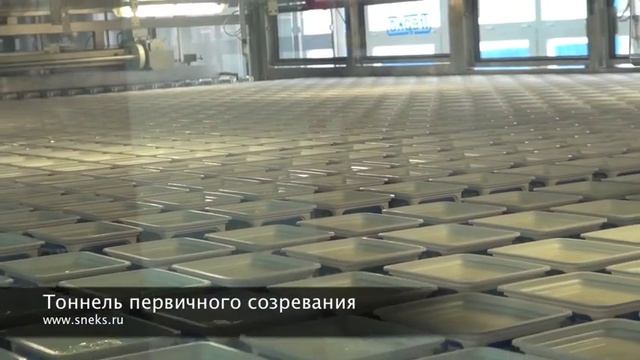 Производство сыра Фета смотреть онлайн
