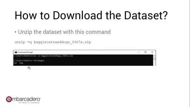 Python4Delphi with Python AI Library Demo 01: Keras смотреть онлайн