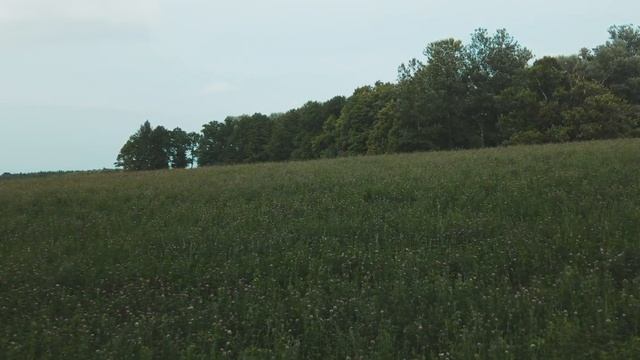 NATURE OF LATVIA - ПРИРОДА ЛАТВИИ - 4K