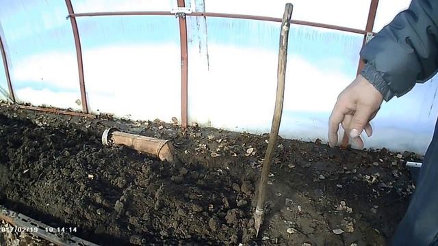 Февраль посадка лука,редиса,укропа,петрушки.