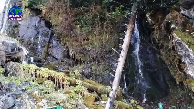 Абхазия. Водопады. Зима. Рицинский парк. DIY & DACHA. LIVE & TRAVEL 30 смотреть онлайн