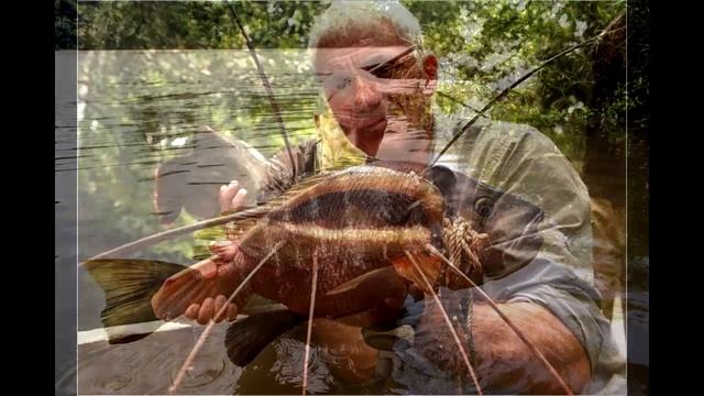 Речные монстры, все трофеи Джереми Уэйда смотреть онлайн