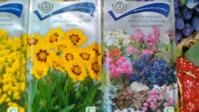 Многолетние декоративные культуры. Выбор этого года. смотреть онлайн