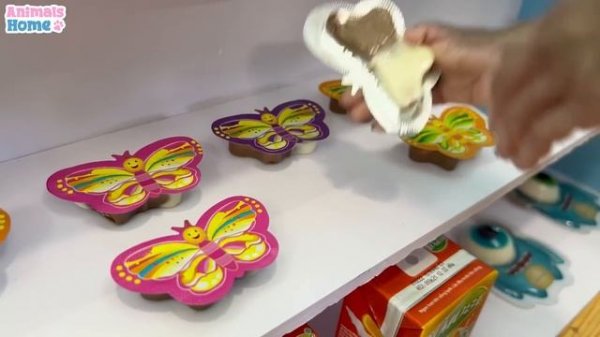 Smart BiBi goes shopping in suppermarket