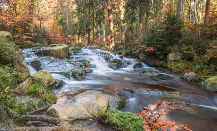 Лесной Водопад. Звуки Природы - Долина Водопада ✦ Звуки леса и пение птиц ✦ Relax Sleep смотреть онлайн