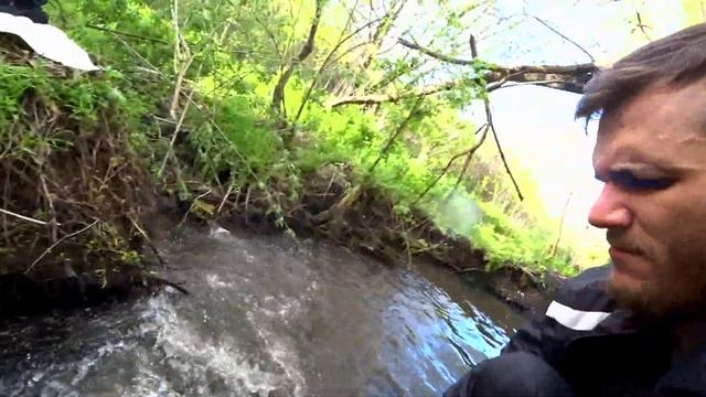 ОТШЕЛЬНИКИ В ЛЕСУ смотреть онлайн