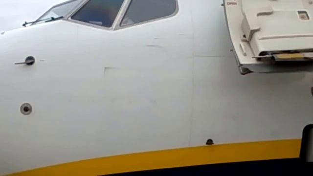 We are going to Palma De Mallorca! Мы летим на Майорку! смотреть онлайн