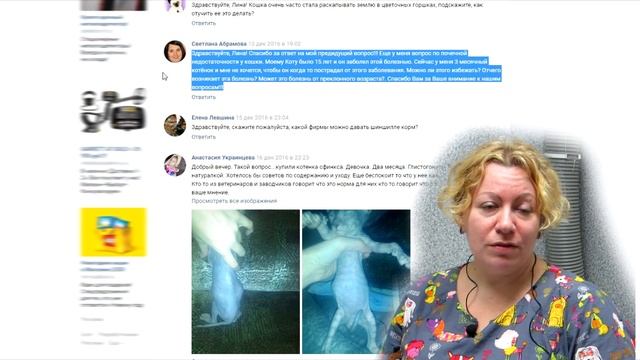 Профилактика почечной недостаточности кошек, корм при смене зубов. ВетОтвет 13-3 смотреть онлайн