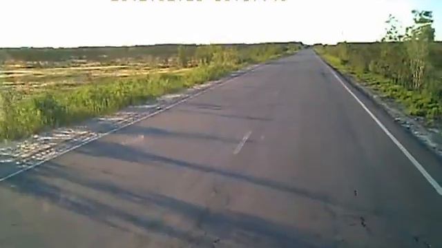 Лосяра и Медведь Гонки смотреть онлайн