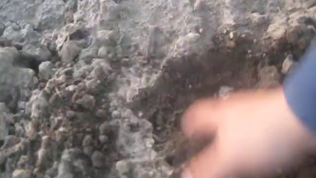 Checking corn germination on 5/14/2009 @ 8:40 p.m смотреть онлайн