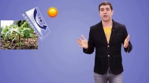 Выбор толщины и плотности поликарбоната.