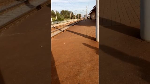 Электропоезд Минск - Вильнюс на о. п. " Крыжоýка ". Беларускi Патрыёт. смотреть онлайн